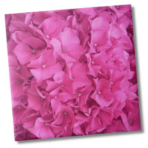 Hydrangea roze bloemenpatroon