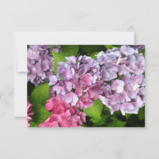 Hydrangea RSVP-kaart RSVP Kaartje (Achterkant)