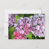 Hydrangea RSVP-kaart RSVP Kaartje (Achterkant)
