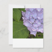 Hydrangea RSVP Reply Kaart (Achterkant)