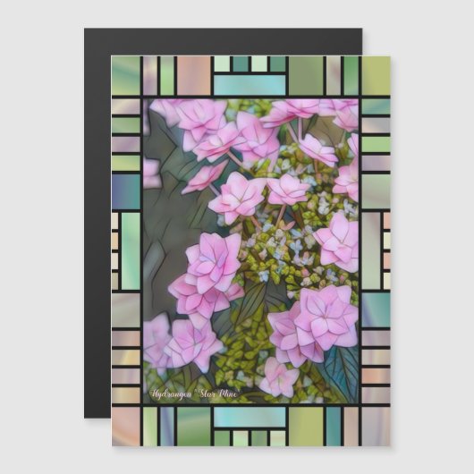 Hydrangea 'Star Mine'  [Magnet Card] (Voorkant / Achterkant)