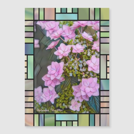 Hydrangea 'Star Mine'  [Magnet Card] (Voorkant)