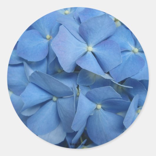 Hydrangea Sticker (Voorkant)