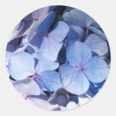 Hydrangea Sticker (Voorkant)