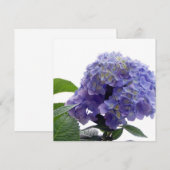 Hydrangea Struik Kaart (Voorkant / Achterkant)