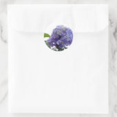 Hydrangea Struik Stickers (Tas)
