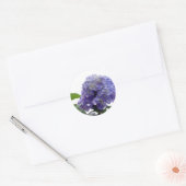 Hydrangea Struik Stickers (Envelop)
