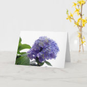 Hydrangea Struik Wenskaart Kaart (Gele Bloem)