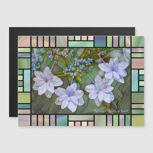 Hydrangea 'Sumida-no-hanabi'  [Magnet Card] (Voorkant / Achterkant)