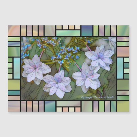 Hydrangea 'Sumida-no-hanabi'  [Magnet Card] (Voorkant)
