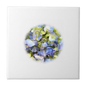 Hydrangea Tile Tegeltje