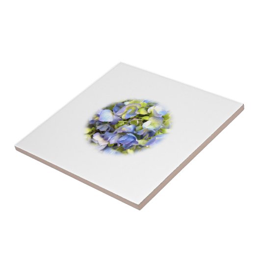 Hydrangea Tile Tegeltje (Zijkant)