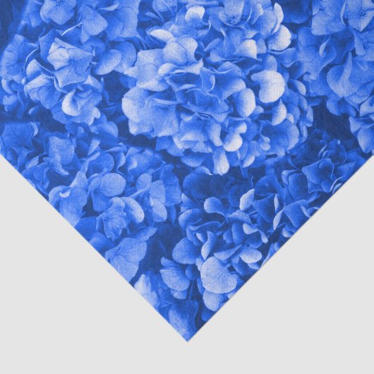 Hydrangea Tissue Paper Tissuepapier (Detail)