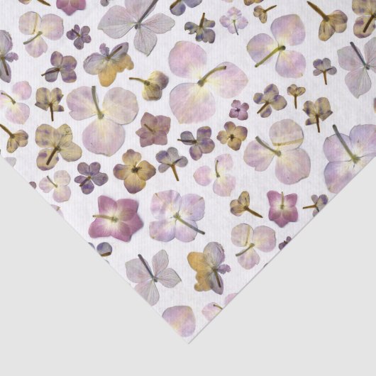 Hydrangea Tissuepapier (Detail)
