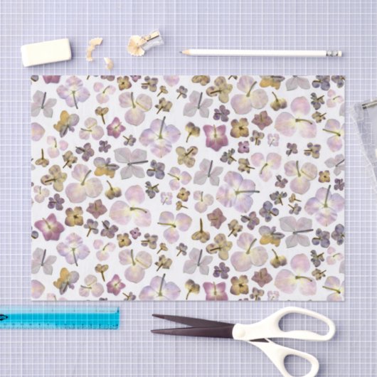 Hydrangea Tissuepapier (Craft)