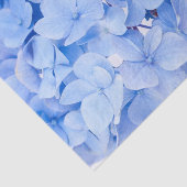 Hydrangea Tissuepapier (Detail)