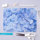 Hydrangea Tissuepapier (Craft)