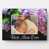 Hydrangea tuin roze blauw paarse bloemen Beste Moe Fotoplaat (voorkant)