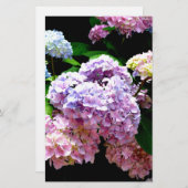 Hydrangea tuin roze bloemenblauw paarse bloemig briefpapier (Voorkant / Achterkant)