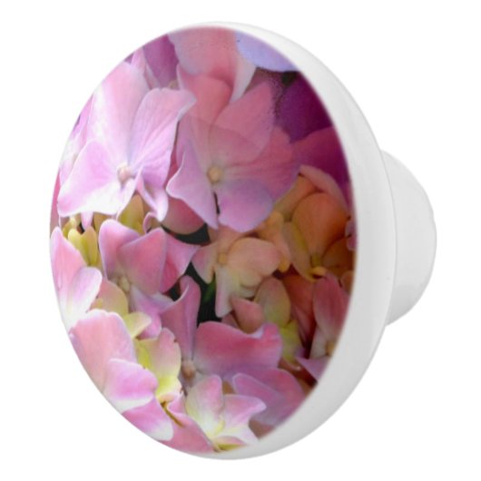 Hydrangea tuin roze bloemenblauw paarse bloemig keramische knop (Rechts)