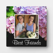 Hydrangea Tuin Roze paarse Blauw Groen Bloemen Fotoplaat (Voorkant)