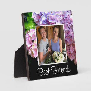 Hydrangea Tuin Roze paarse Blauw Groen Bloemen Fotoplaat