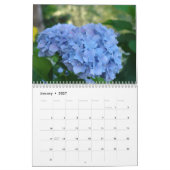 HYDRANGEA TUINEN Kalender Blauwe Hortensia's (Jan 2027)