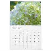 HYDRANGEA TUINEN Kalender Blauwe Hortensia's (Feb 2027)
