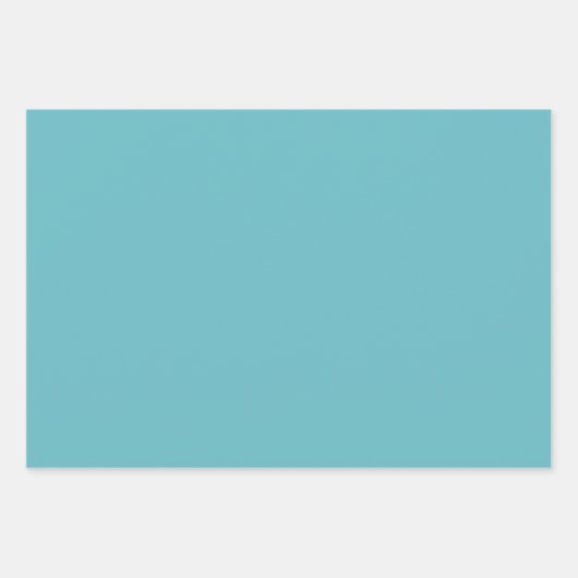 Hydrangea Tuingeschenk Inpakpapier Vel (Voorkant 3)