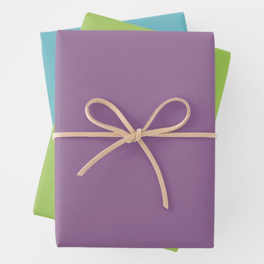 Hydrangea Tuingeschenk Inpakpapier Vel (In situ)