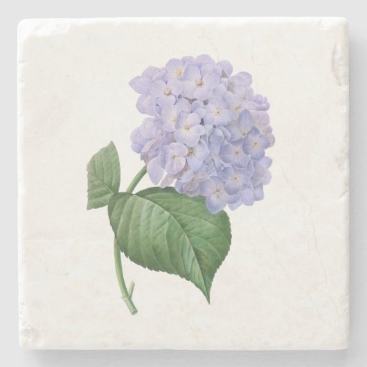  hydrangea  ventilator stenen onderzetter (Voorkant)