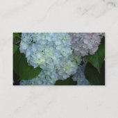Hydrangea Visitekaartje (Achterkant)