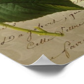 Hydrangea-vlinderkroon Poster (Hoek)