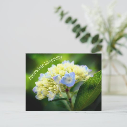 Hydrangea Vloeraanzin Inspirerend Briefkaart (Staand voorkant)