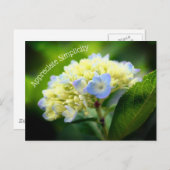 Hydrangea Vloeraanzin Inspirerend Briefkaart (Voorkant / Achterkant)