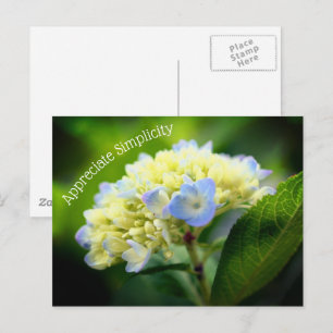 Hydrangea Vloeraanzin Inspirerend Briefkaart