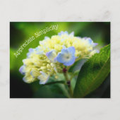 Hydrangea Vloeraanzin Inspirerend Briefkaart (Voorkant)