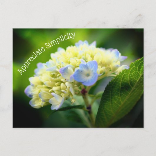 Hydrangea Vloeraanzin Inspirerend Briefkaart (Voorkant)