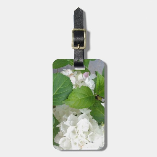 Hydrangea Vloergroene witte Natuur TuinPlanten Bagagelabel (Voorkant verticaal)