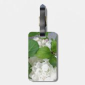 Hydrangea Vloergroene witte Natuur TuinPlanten Bagagelabel (Achterkant verticaal)
