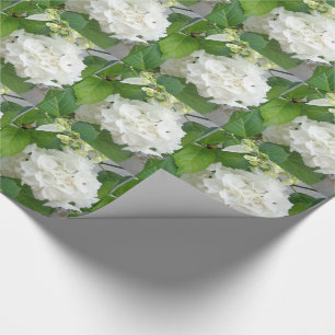 Hydrangea Vloergroene witte Natuur TuinPlanten Cadeaupapier
