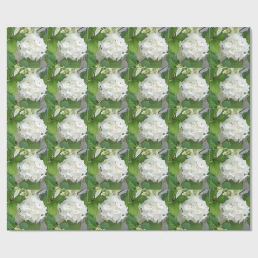 Hydrangea Vloergroene witte Natuur TuinPlanten Cadeaupapier (Vlak)