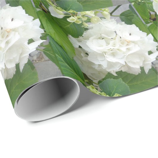 Hydrangea Vloergroene witte Natuur TuinPlanten Cadeaupapier (Rol Hoek)