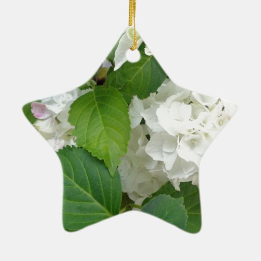 Hydrangea Vloergroene witte Natuur TuinPlanten Keramisch Ornament (Achterkant)