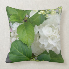 Hydrangea Vloergroene witte Natuur TuinPlanten Kussen