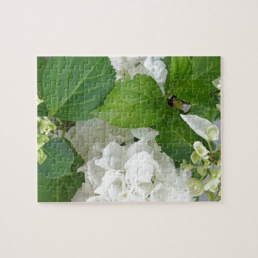 Hydrangea Vloergroene witte Natuur TuinPlanten Legpuzzel (Horizontaal)