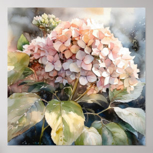 Hydrangea Waterverf Art Print