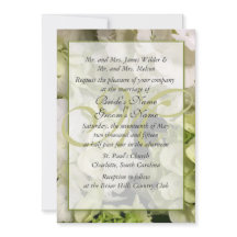 Hydrangea White Green Wedding Suite