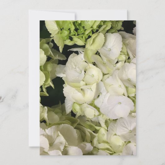 Hydrangea White Green Wedding Suite Kaart (Achterkant)