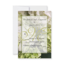 Hydrangea White Green Wedding Suite